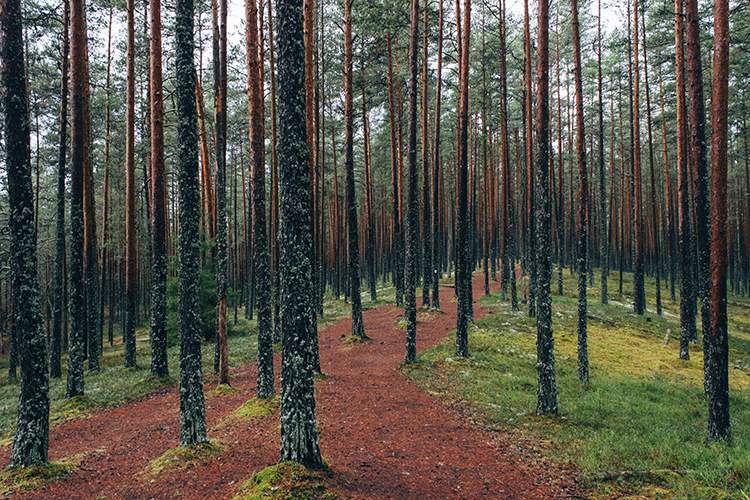 Pierwsza wizyta u psychologa – jak wygląda i jak się przygotować?